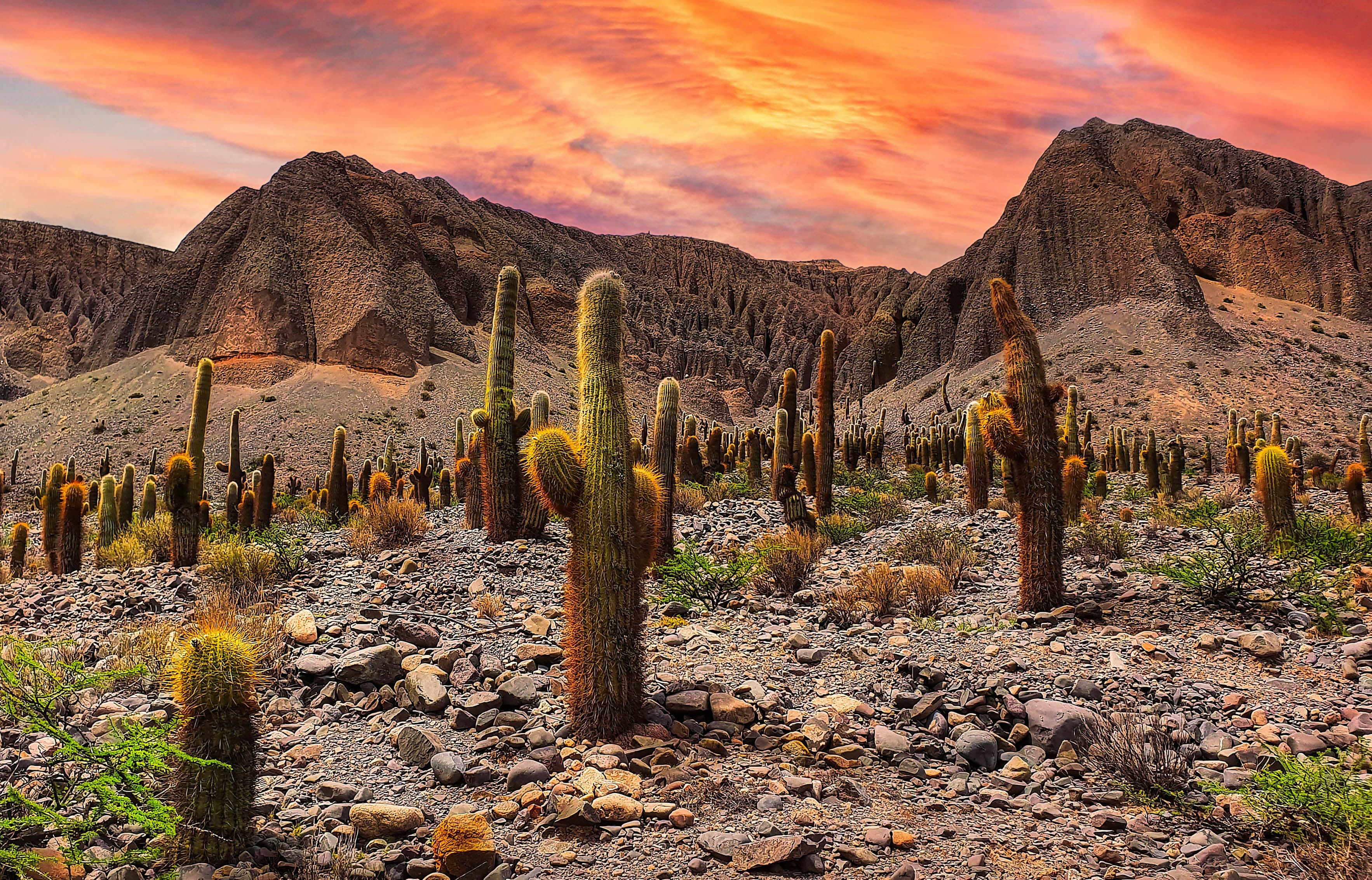 Paisaje Salta 2