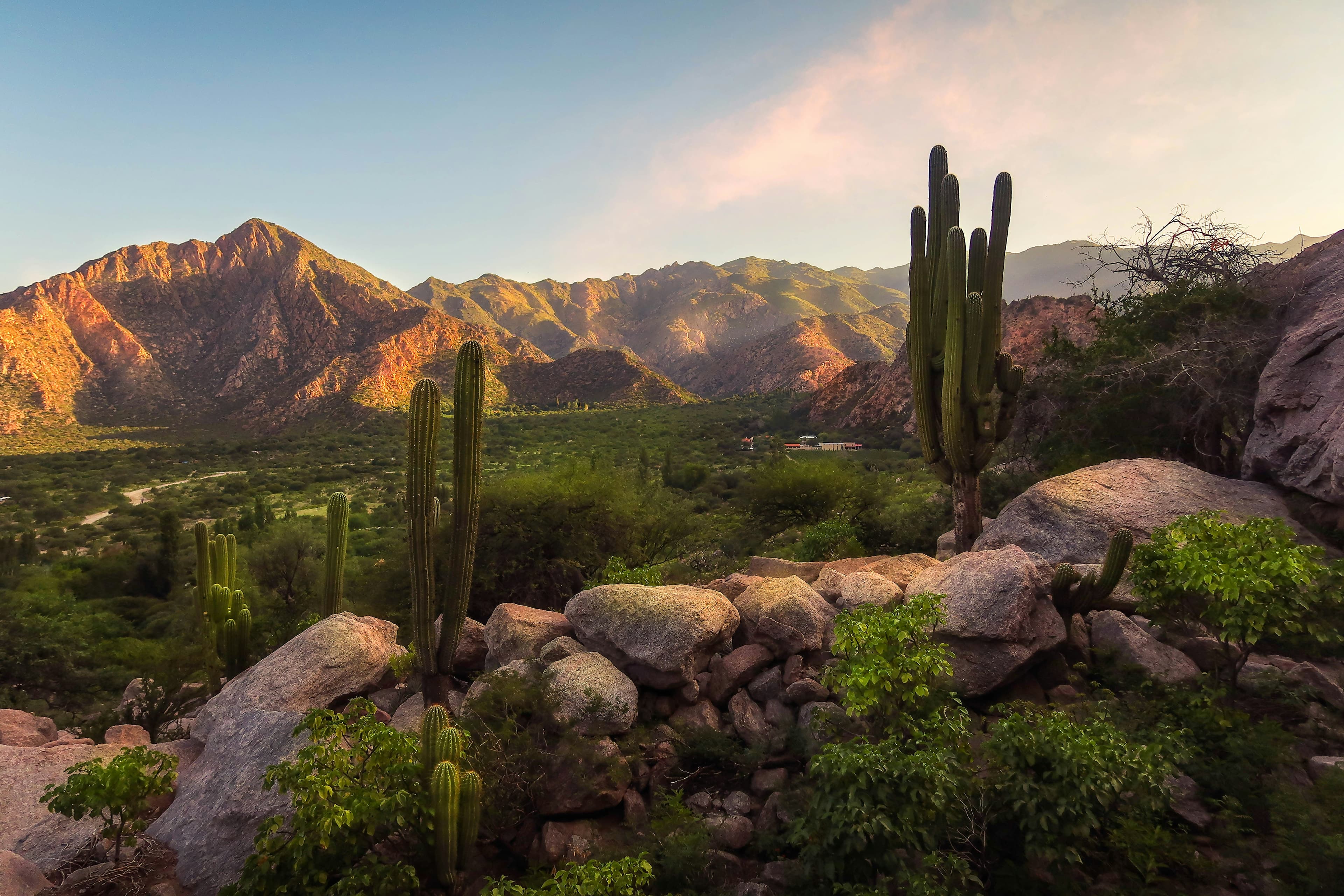 Paisaje Salta 1